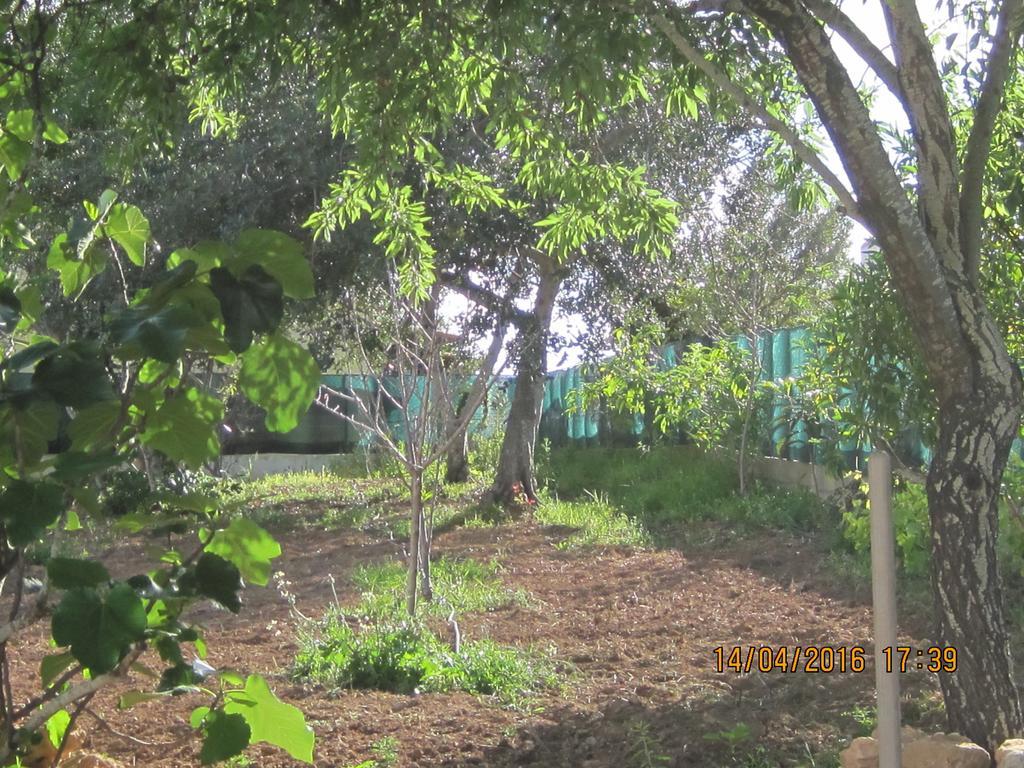 فندق Quinta Da Fonte Em مونكاراباشو المظهر الخارجي الصورة